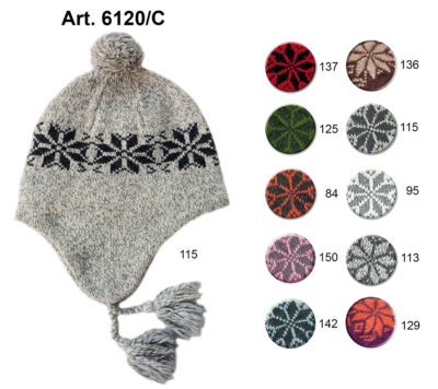 Art. 6120/C