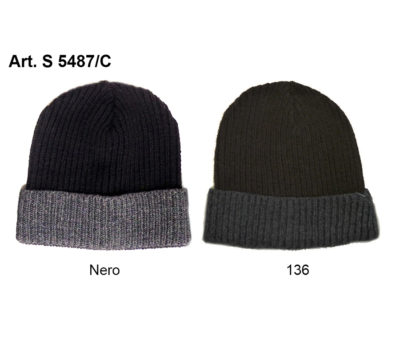 Art. S 5487/C