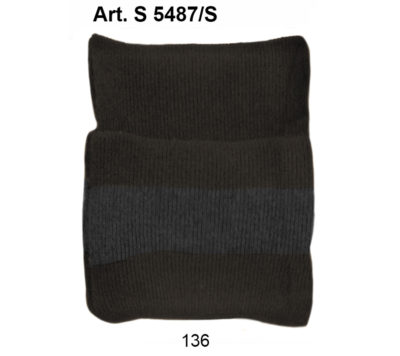 Art. S 5487/S
