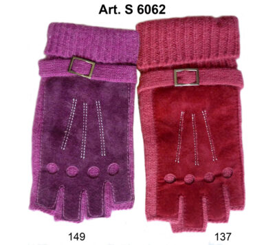 Art. S 6062