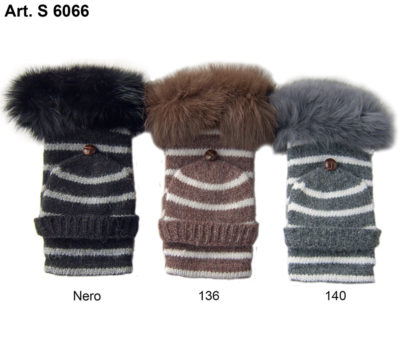 Art. S 6066