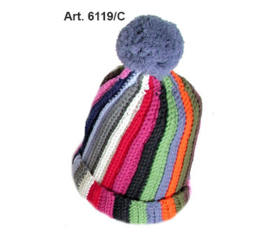 Art. S 6119/C