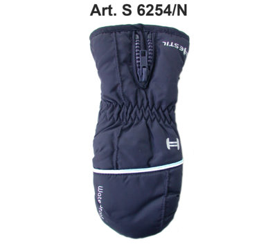 Art. S 6254/N