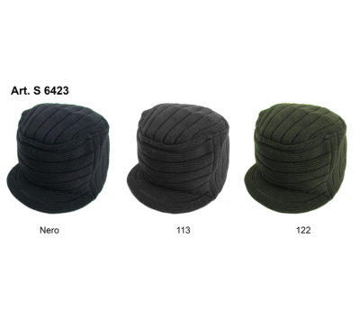 Art. S 6423