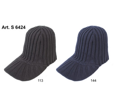 Art. S 6424