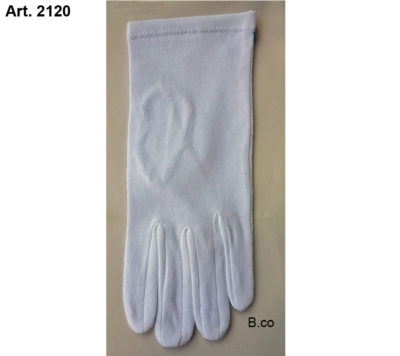Art. 2120