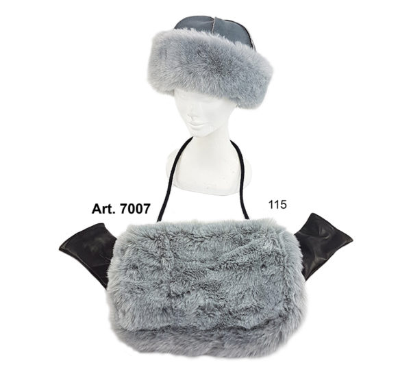 Art. 7007-3