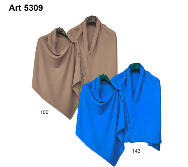 Art. 5309