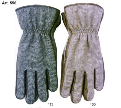 Art. 556