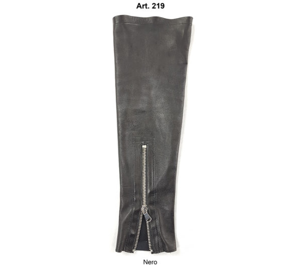 Art. 219