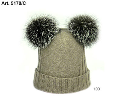 Art. 5170/C
