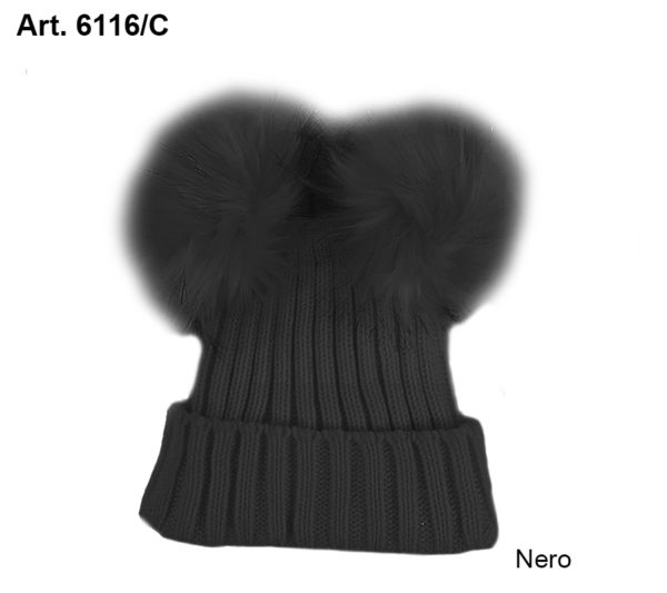 Art. 6116/C