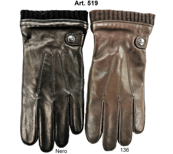 Art. 519