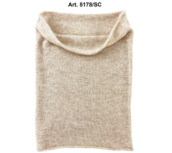 Art. 5178/SC-2025